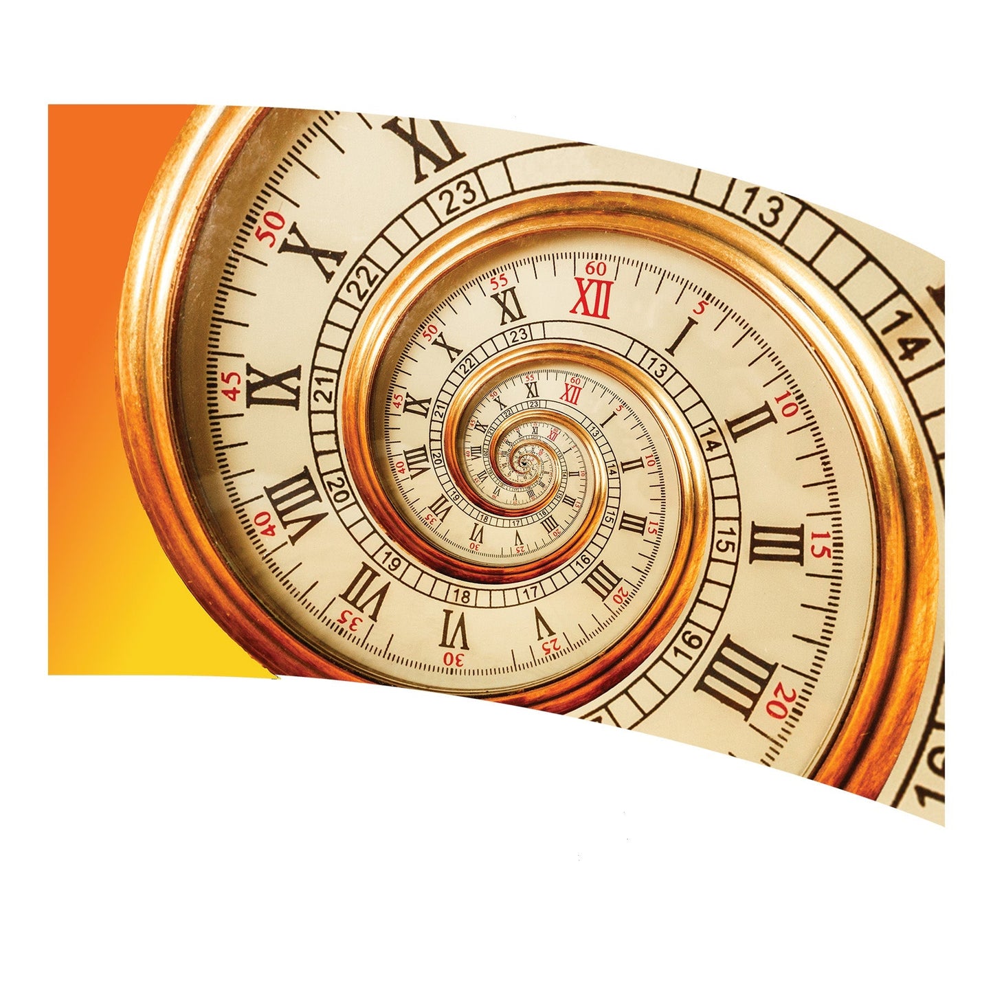 FL7306 Algy Printed Flag 36 x 56