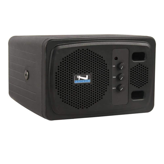 AN-1000X+ Powered speaker monitor & Anchor-Link 2 wireless mic capacity