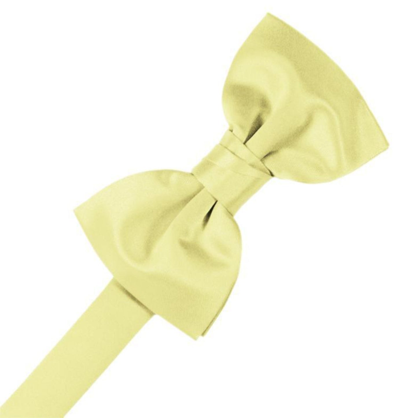 Luxury Satin Pre-Tied Bow Tie