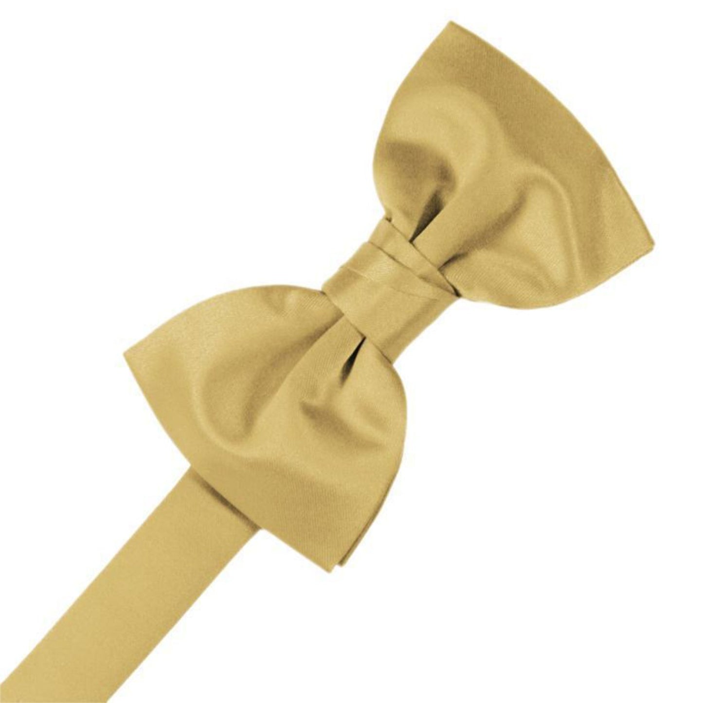Luxury Satin Pre-Tied Bow Tie