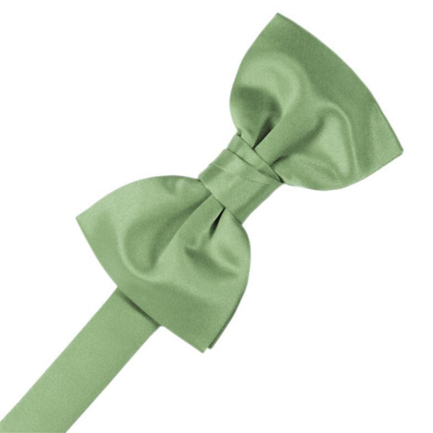 Luxury Satin Pre-Tied Bow Tie