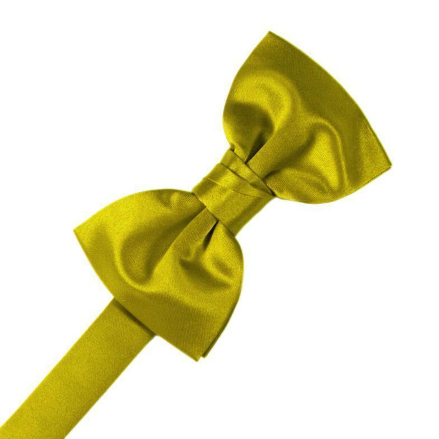 Luxury Satin Pre-Tied Bow Tie