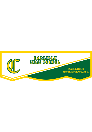 Dye-Sub Banner Design Example #121