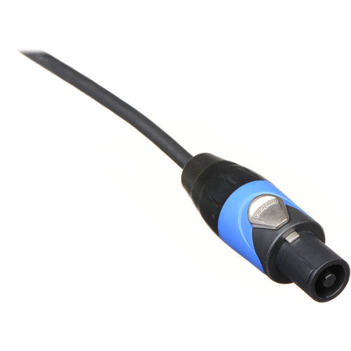 SPEAKON Cable - 100 ft